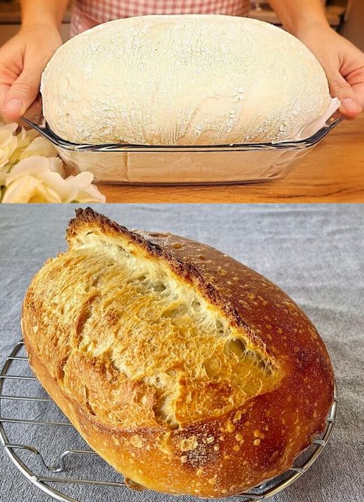 Hausbrot - rezepte - lecker rezepte